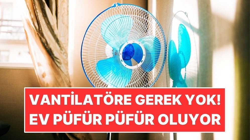 Klimaya Gerek Kalmadan Evi Serin Tutmanın En Basit Yöntemi!