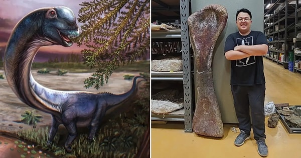 Gölet kenarında kaya sanıldı