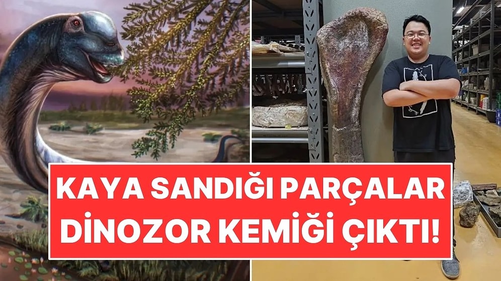 Gölet Kenarında Kaya Sandığı Parçalar Dinozor Kemiği Çıktı