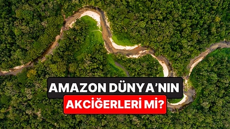 Amazon Söylendiği Gibi Dünya'nın "Akciğerleri" mi? İşte Gerçekler