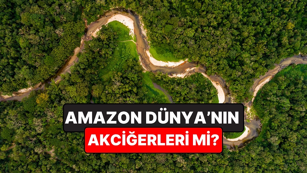 Amazon Söylendiği Gibi Dünya'nın "Akciğerleri" mi? İşte Gerçekler