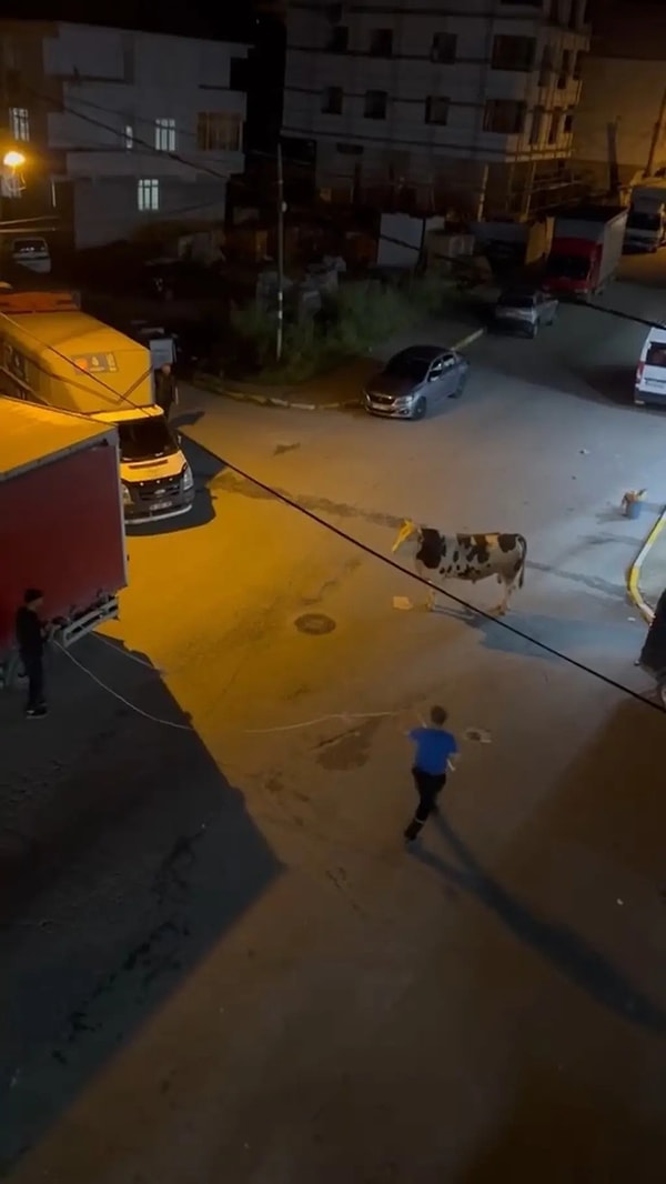Tüm mahallede panik yarattı.