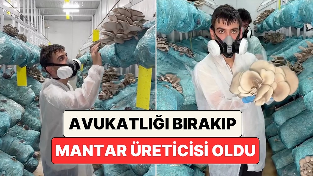Avukatlığı Bırakıp İstiridye Mantarı Yetiştiriciliği Yapan Genç Yaptığı İşin Detaylarını Paylaştı