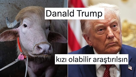 Donald Trump'a Benzeyen Kurbanlık Kesilmekten Kurtuldu