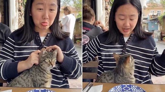 US Tourist Shares Heartwarming Moment With a Tabby Cat During Turkey Trip