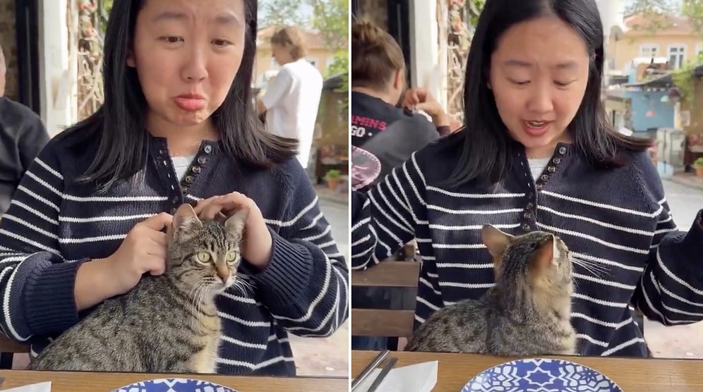 US Tourist Shares Heartwarming Moment With a Tabby Cat During Turkey Trip