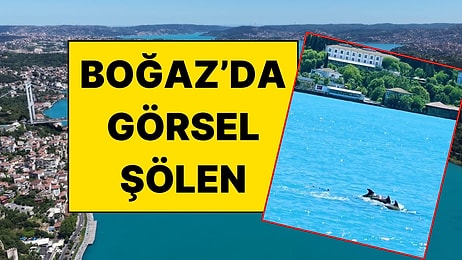 İstanbul Boğazı Turkuaza Büründü, Yunus Balıkları Şov Yaptı