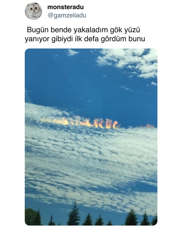 👇