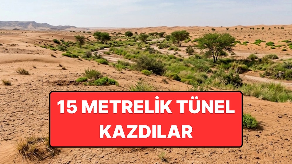15 Metrelik Tüneller Kazan Kaplumbağalar Çölü Yeşertti