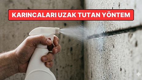 Karıncaları Evden Uzaklaştıran Formül Açıklandı