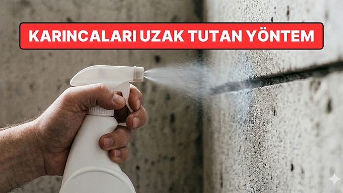 Karıncaları Evden Uzaklaştıran Formül Açıklandı