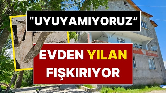Evin Her Yerinden 3 Metre Yılan Fışkırıyor! “Uyuyamıyoruz” Diyerek Yardım İstediler