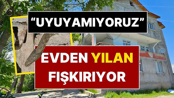 Tuvaletten, Çatlaklardan Yılan Çıkıyor: Aile Yardım İstedi!