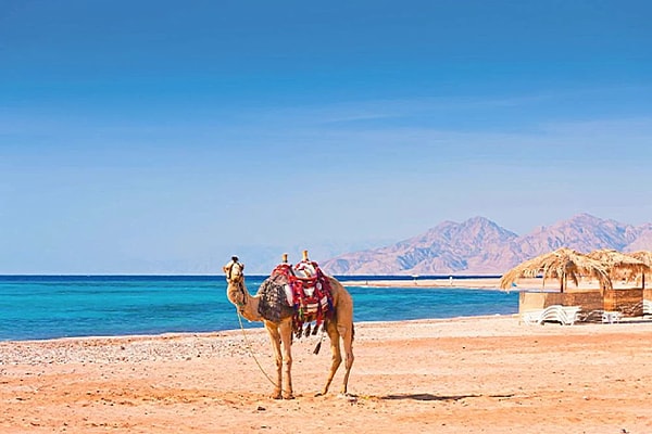 4. Doğayla iç içe bir tatil isteyenler için Marsa Alam!