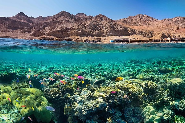 8. Dahab, Mısır'da bulunan popüler tatil rotalarından biridir.