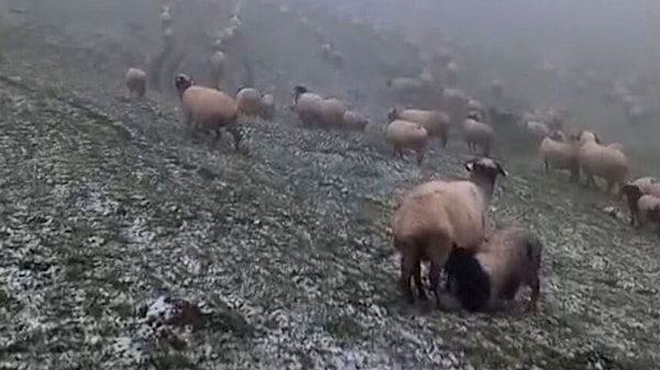 Meteoroloji Genel Müdürlüğü Tarafından Yapılan Açıklamalarda Vatandaşların Olumsuz Hava Koşullarına Karşı Tedbirli Olmaları İstendi
