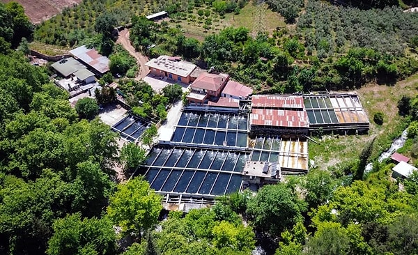Çevrenin Şüpheci Yaklaşımı Yatırımların Kararlılığı Karşısında Sönük Kaldı