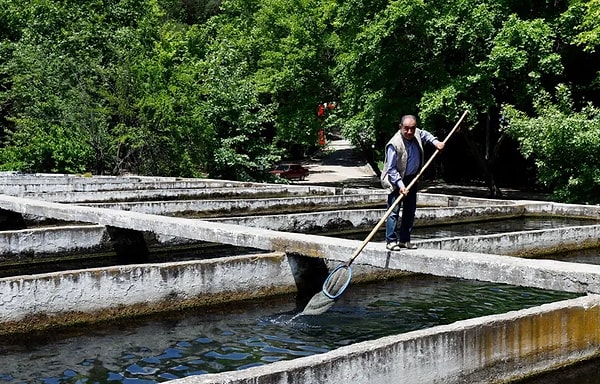 Üretim Sürecinin Tamamı Tek Bir Çatı Altında Entegre Şekilde Yürütülüyor