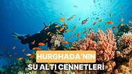 Hurghada’nın Kızıldeniz’e Açılan Kapısında Görmeniz Gereken 10 Mistik Su Altı Cenneti