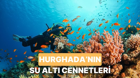 Hurghada’nın Kızıldeniz’e Açılan Kapısında Görmeniz Gereken 10 Mistik Su Altı Cenneti