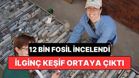 12 Bin Fosil İncelendi: Dünya’daki Karmaşık Yaşamın Kökenine Dair Yeni İpucu