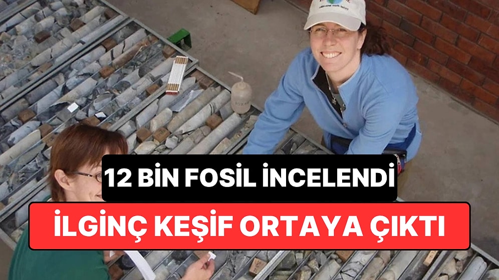 12 Bin Fosil İncelendi: Dünya’daki Karmaşık Yaşamın Kökenine Dair Yeni İpucu