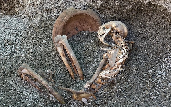 Antik döneme ait mektuplar ile yeni arkeolojik bulgular birbirini doğruladı