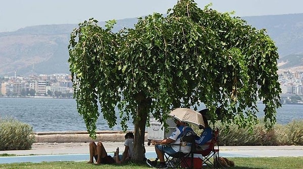 Ege ve Marmara Bölgelerinde Ekstrem Sıcaklık Değerleri Öngörülüyor