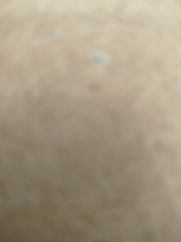 Ali