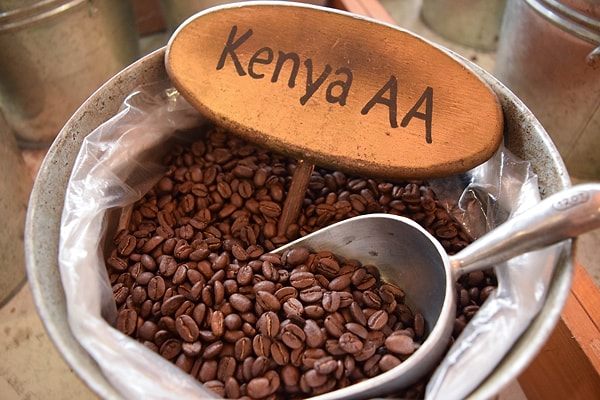 Kenya Çekirdeği!