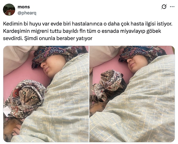 Cins işte...