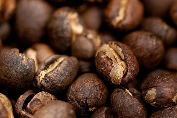 9. Kilimanjaro Dağı'nın eteklerinde yetişen, Peaberry kahveleriyle ünlü ülke hangisidir?