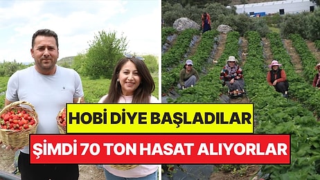 Hobi Diye Başladılar, Şimdi Servet Kazanıyorlar: 20 Dönüm Araziden 70 Ton Hasat Çıktı