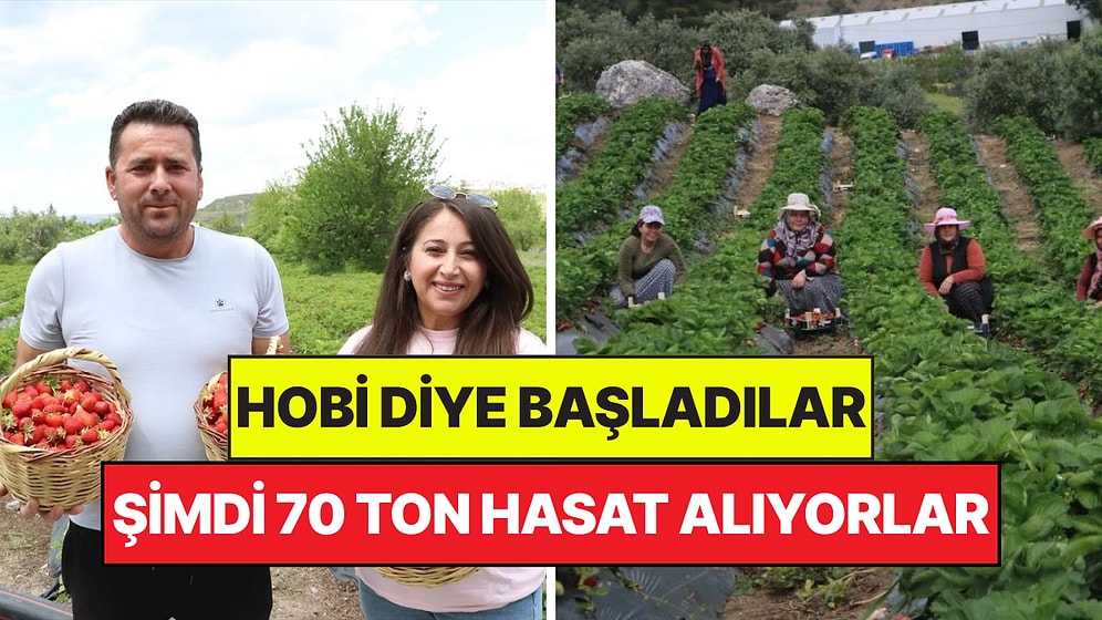 Hobi Diye Başladılar, Şimdi Servet Kazanıyorlar: 20 Dönüm Araziden 70 Ton Hasat Çıktı