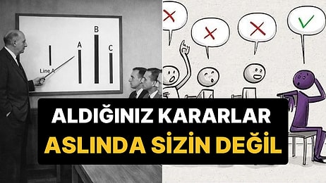 Hayata ve Kararlarınıza Bakış Açınızı Değiştirecek Psikolojik Deney: Asch Uyumluluk Deneyi