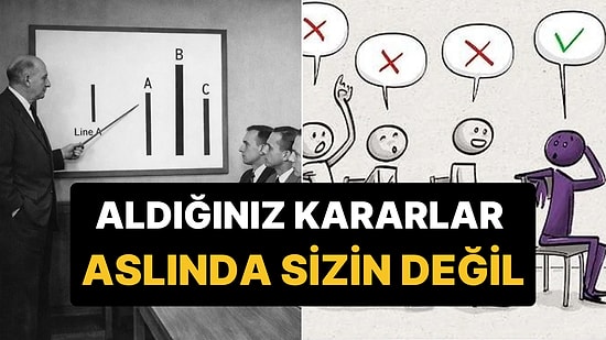 Hayata ve Kararlarınıza Bakış Açınızı Değiştirecek Psikolojik Deney: Asch Uyumluluk Deneyi
