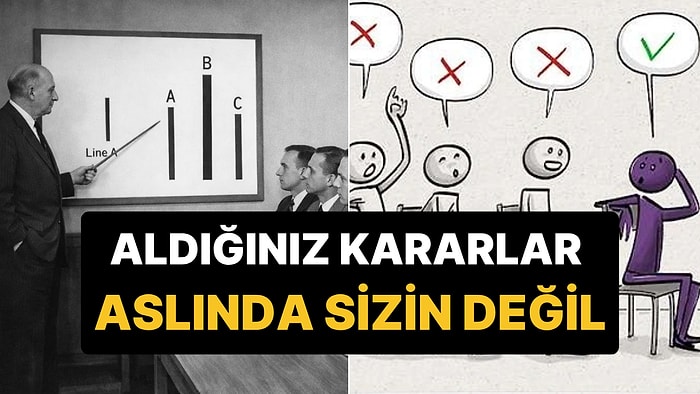 Hayata ve Kararlarınıza Bakış Açınızı Değiştirecek Psikolojik Deney: Asch Uyumluluk Deneyi