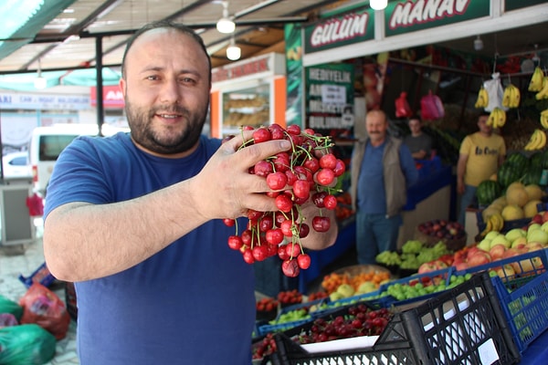 Şu an tezgahlarda yer alan erkenci kirazlar vatandaşın özlemini dindirirken, gözler Amasya’nın tescilli markasına çevrildi.