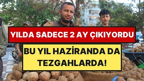 Dağların Altından Çıkıyor, İstanbul'a Kadar Kargolanıyor: Yüksek Fiyatına Rağmen Taleplere Yetişemiyorlar