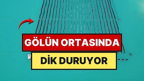 Ne Toprağa Ne Ormana İhtiyaç Duyuyor: Gölün Ortasına Güneş Tarlası Kurdular
