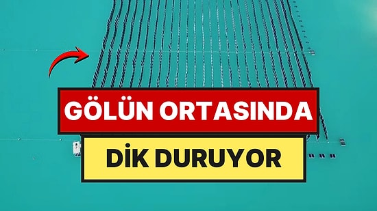 Ne Toprağa Ne Ormana İhtiyaç Duyuyor: Gölün Ortasına Güneş Tarlası Kurdular