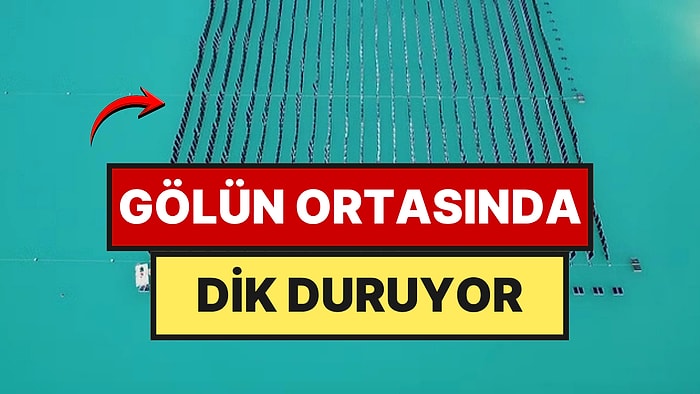 Ne Toprağa Ne Ormana İhtiyaç Duyuyor: Gölün Ortasına Güneş Tarlası Kurdular