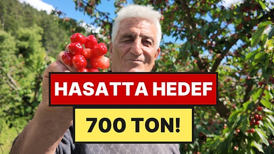 Yüzde 75'i Yurt Dışına Gidiyor: Avrupalının Tabağındaki Bu Meyve Ailelerin Geçim Kaynağı Oldu