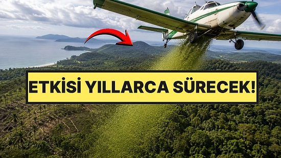 Helikopterle Gökyüzünden 700 Bin Tane Yağdırdılar: Bölgenin Kaderini Değiştirecek