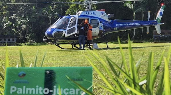 Authorities have indicated that the areas will be closely monitored to gauge the success rate in the region and determine how many of the seeds dropped from the air will germinate.