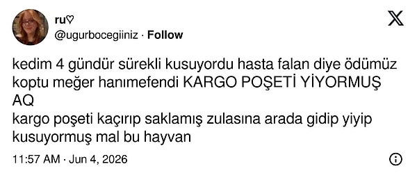 İlginç bir zevk...