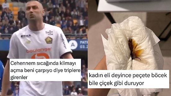 Klima Çarpanlardan Kadın Eli Değen Böceğe Son 24 Saatin Viral Tweetleri