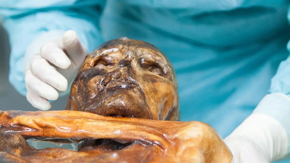 Researchers Successfully Bake Sourdough Bread From 5,000-Year-Old Mummy Yeast