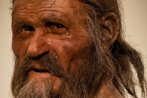 Ancient microorganisms dating back thousands of years were discovered on Ötzi.