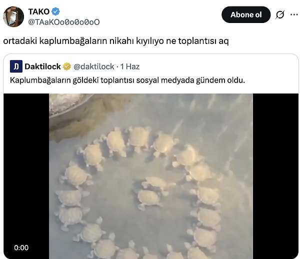 Bir kabukta kocasınlar.